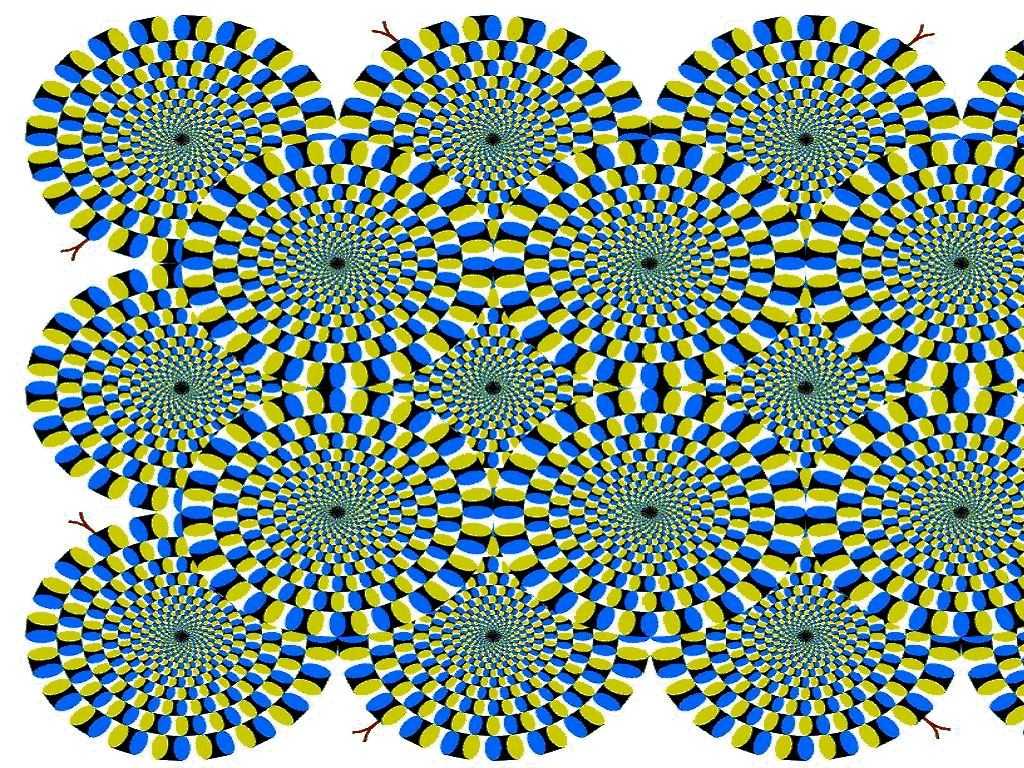 Optical_Illusions_06.gif edit.JPG