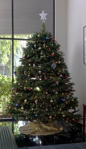 office tree 09.JPG